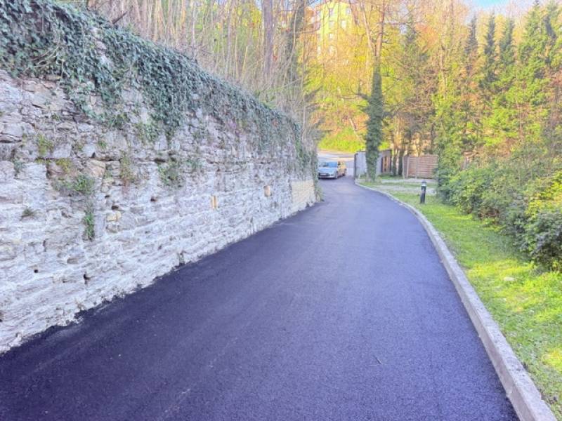 Goudronnage d'un chemin d'accès de copropriété à Saint-Didier-au-Mont-d'Or